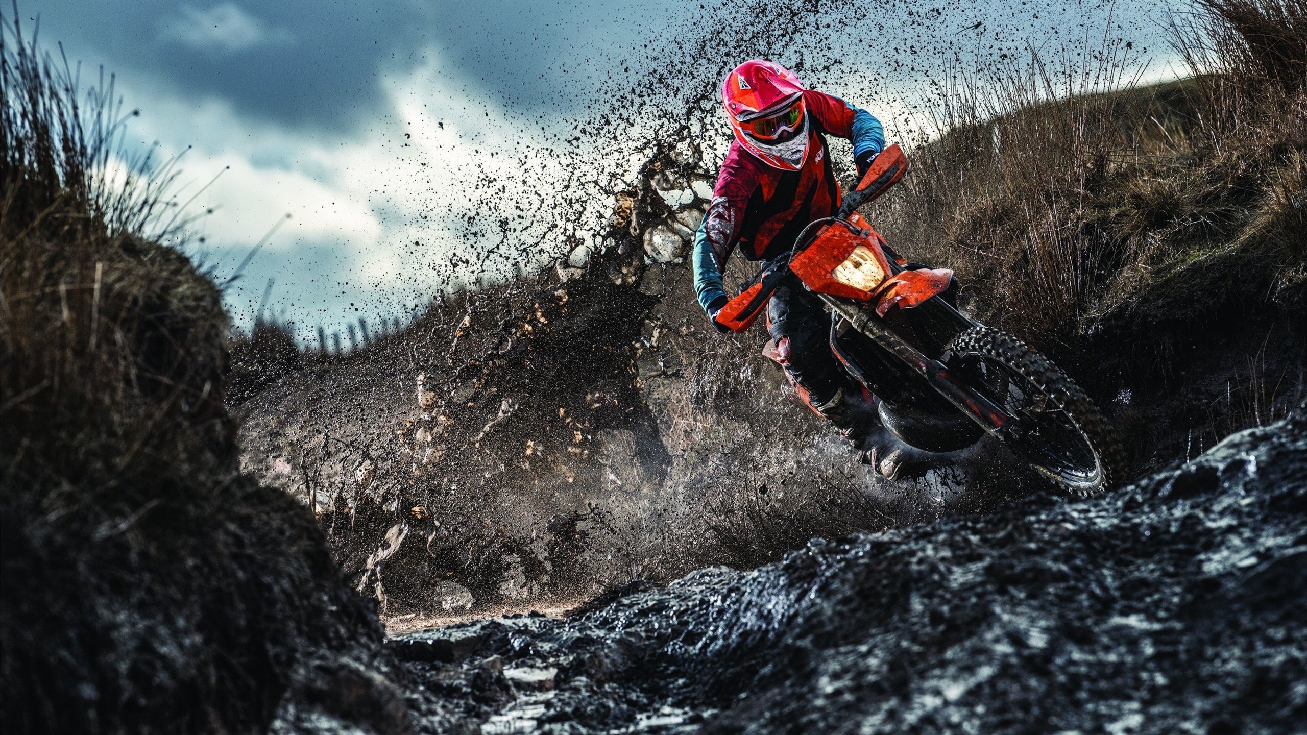 灰熊铁蹄踏碎王朝梦,利拉德孤星点燃撕裂之城